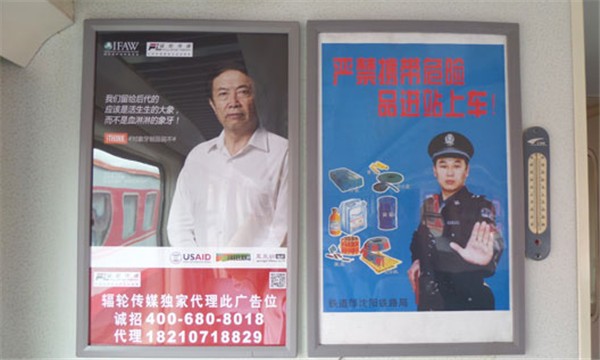 辐轮传媒支持IFAW保护救助工作，提供免费广告刊位。
